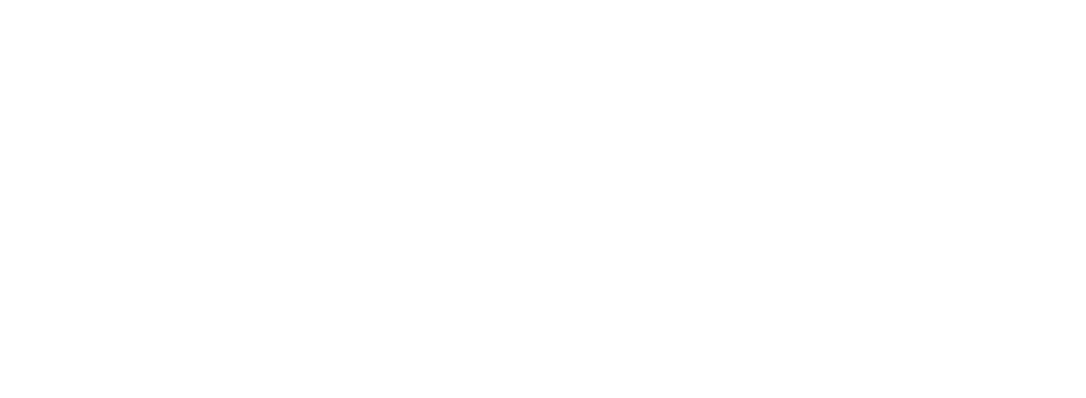 CareerSource Florida Logo - White