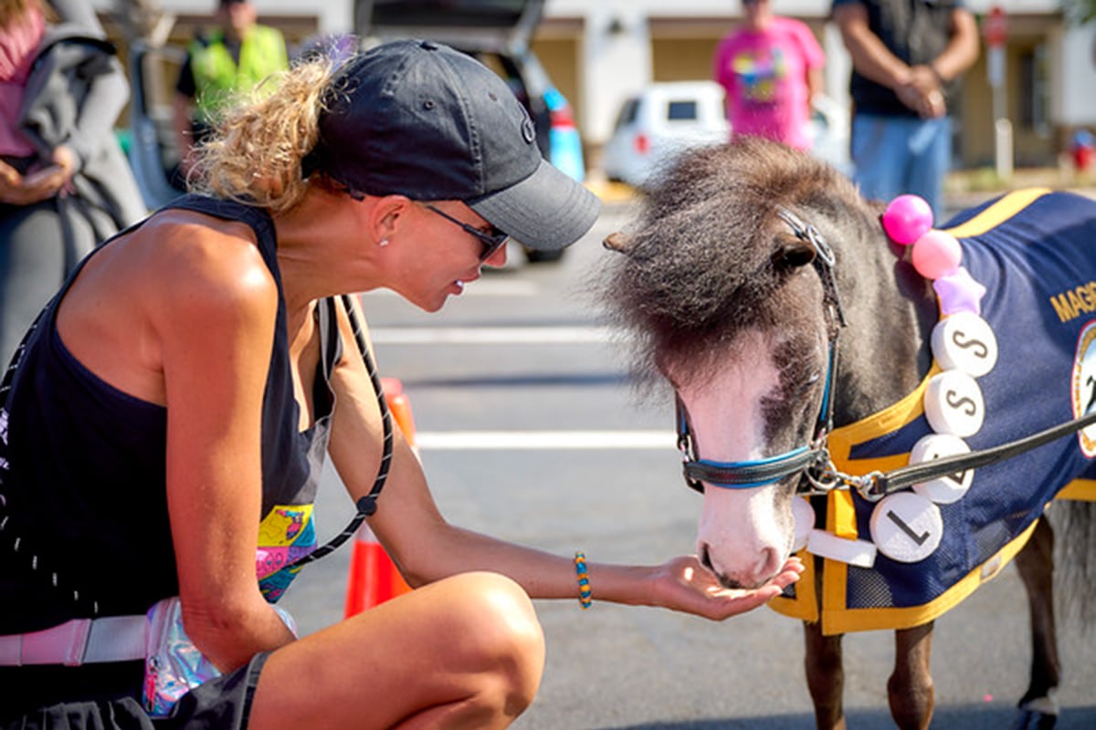 Donkey at Lauren's kids walk
